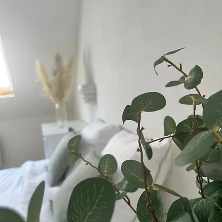 Alexander With Parking And Terrace 콜마