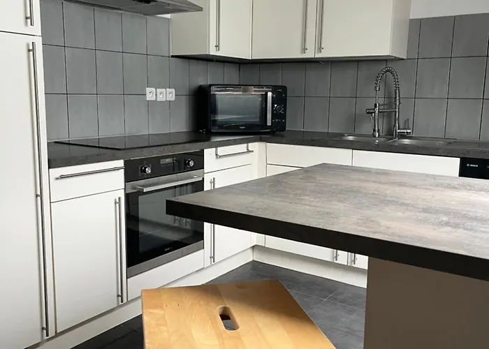 Daire Alexander With Parking And Terrace Colmar