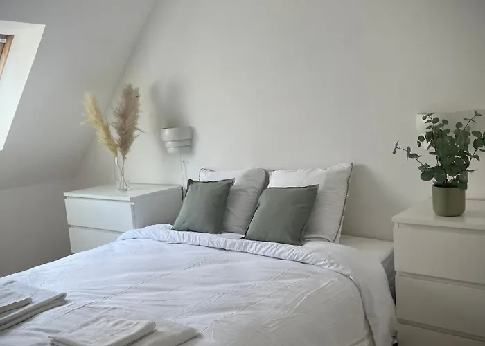 Alexander With Parking And Terrace * Colmar