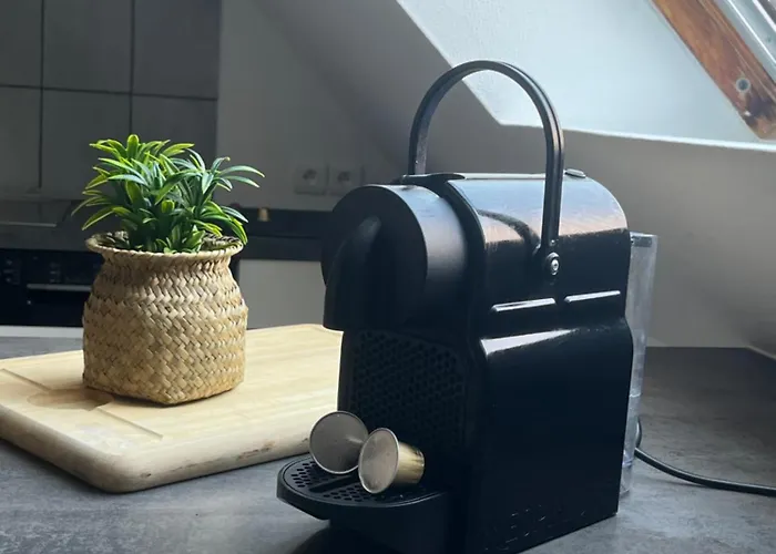 Daire Alexander With Parking And Terrace Colmar