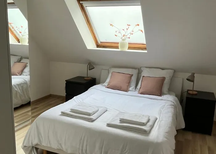 Daire Alexander With Parking And Terrace Colmar