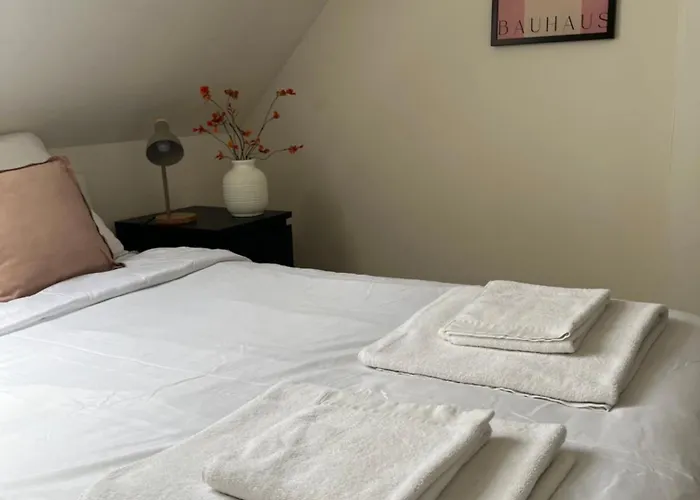 Alexander With Parking And Terrace Colmar