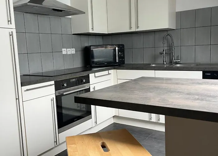 Daire Alexander With Parking And Terrace Colmar